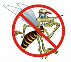 contra dengue 2